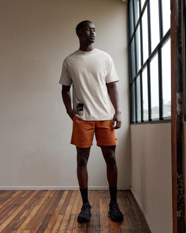 LSKD hombres Camiseta extragrande de peso pesado de I+D - beige esquisto 8T6NZ958 vestir